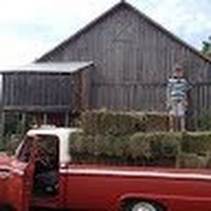 Meet your Posher, Dennis